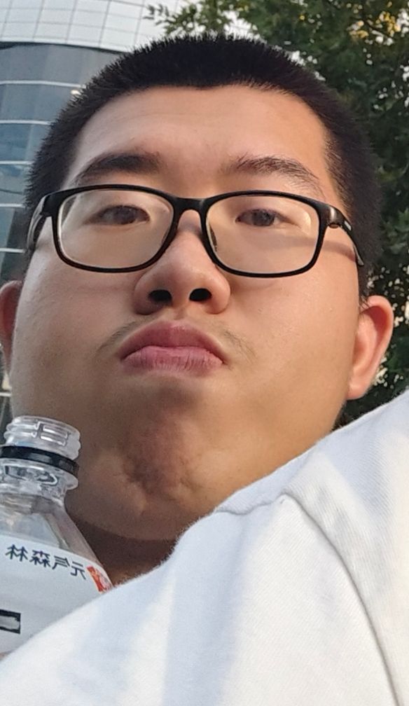 王的凝视的图片